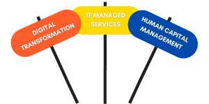 Digital transformation, IT Managed Services and Human Capital Management Board